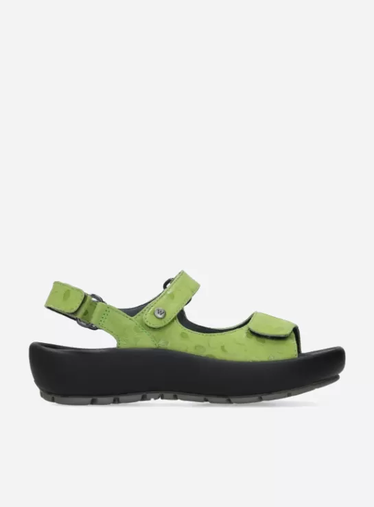 Wolky Brasilia<DAMES Sandalen