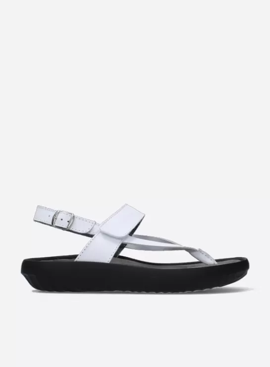 Wolky Cebu<DAMES Sandalen