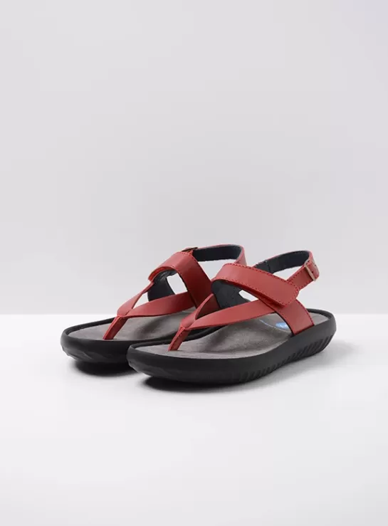 Wolky Cebu<DAMES Sandalen | Voorjaar/zomer 2024