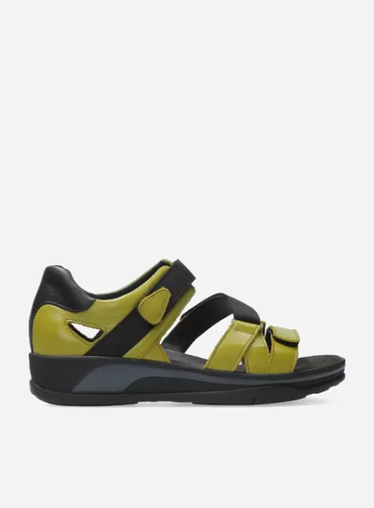Wolky Desh<DAMES Sandalen | Voorjaar/zomer 2024