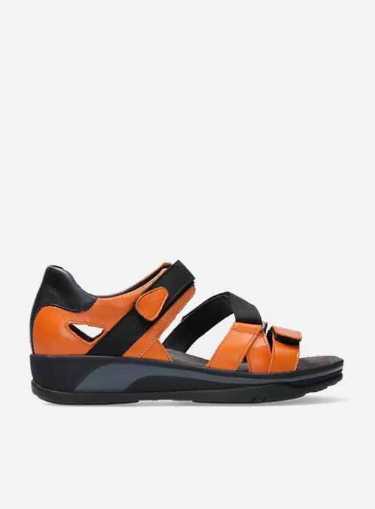 Wolky Desh<DAMES Sandalen | Voorjaar/zomer 2024