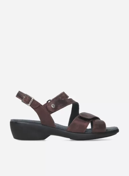 Wolky Fria<DAMES Sandalen