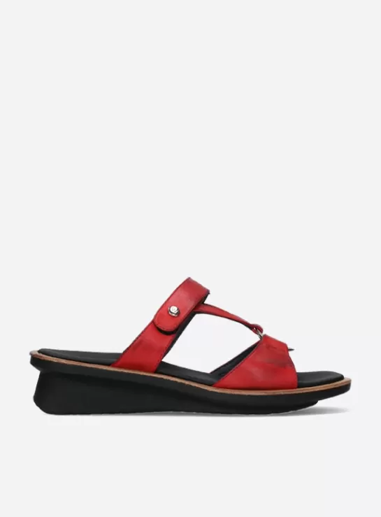 Wolky Isa<DAMES Slippers