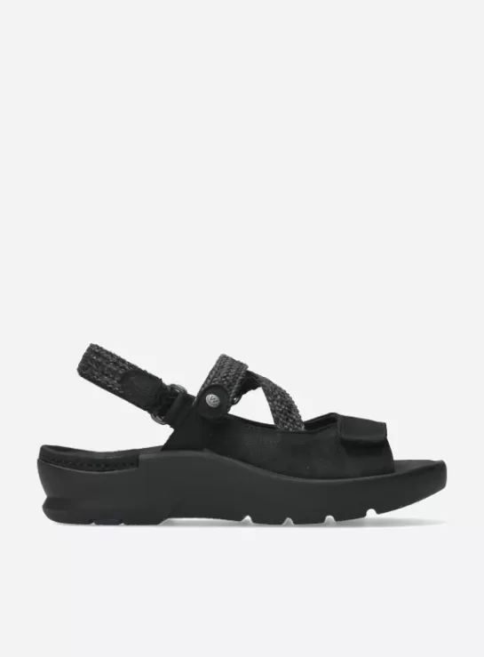 Wolky Lisse<DAMES Sandalen | Voorjaar/zomer 2024