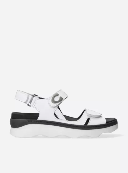 Wolky Medusa<DAMES Sandalen