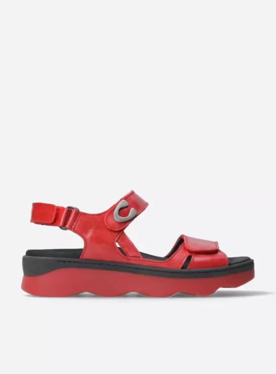 Wolky Medusa<DAMES Sandalen