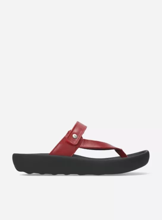 Wolky Peace<DAMES Slippers | Voorjaar/zomer 2024