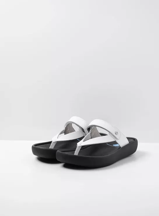 Wolky Peace<DAMES Slippers | Voorjaar/zomer 2024