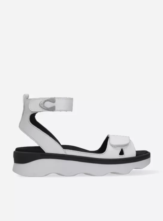 Wolky Plata<DAMES Sandalen