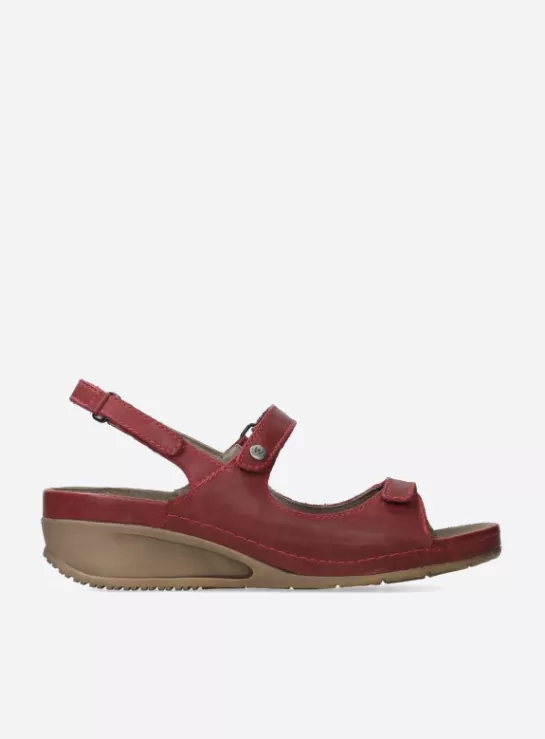 Wolky Shallow<DAMES Sandalen