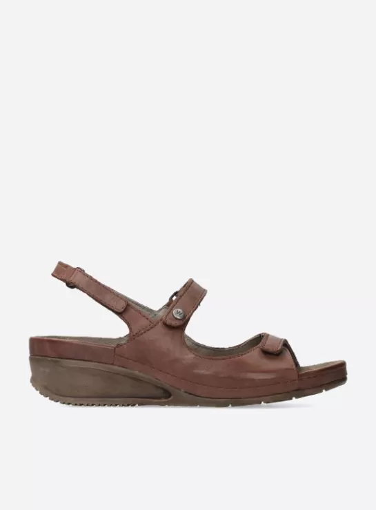 Wolky Shallow<DAMES Sandalen